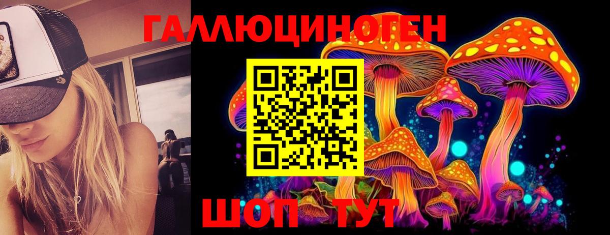 Псилоцибиновые грибы прущие грибы Анапа